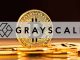 Grayscale Bitcoin trust