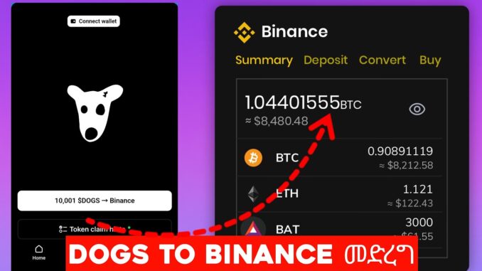 BINANCE Crypto wallet for DOGS COINS: HOW to SELL DOGS AIRDROP