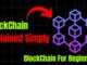 Blockchain Explained Simply | Blockchain for Beginners |