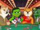 Price Analysis: Playdoge, Dogecoin, or Mpeppe – Where Should Investors Bet Their Money?