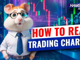 Investing for beginners: How to read trading charts ⚡️ Hamster Academy