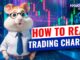 Investing for beginners: How to read trading charts ⚡️ Hamster Academy