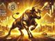 Bitcoin bull