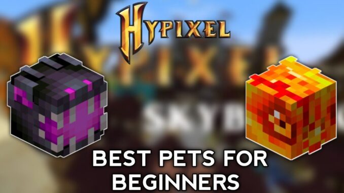 best pets for beginners in hypixel skyblock | farming foraging mining combat fishing pet