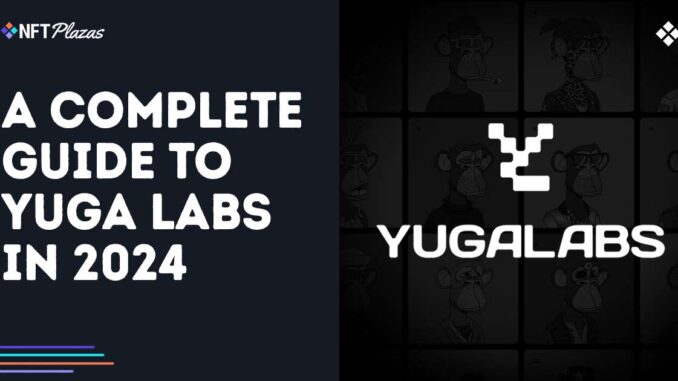 A Complete Guide to Yuga Labs in 2024