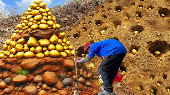 Finding Hidden Treasures: A Guide for Mining Gold $ 3000M by Hand 2024