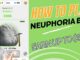 How To Start Mining on the Neuphoria Airdrop Bot[BEGINNERS GUIDE]