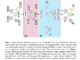 TempoKGAT: Enhancing Temporal Graph Analysis with Time-Decaying Weights and Selective Neighbor Aggregation