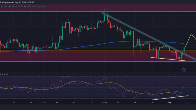 XRP Price Surge Imminent? Key Metrics Reveal Bullish Potential