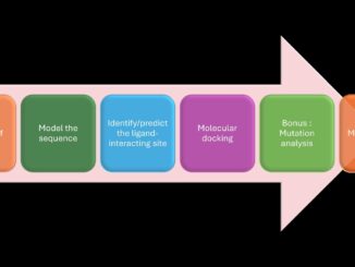 Bioinformatics Beginners Part 1: Mining, modelling, active site, molecular docking, mutagenesis