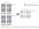 Differentiable Adaptive Merging (DAM): A Novel AI Approach to Model Integration