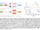 Google DeepMind Research Introduces Diversity-Rewarded CFG Distillation: A Novel Finetuning Approach to Enhance the Quality-Diversity Trade-off in Generative AI Models