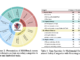 Multimodal Situational Safety Benchmark (MSSBench): A Comprehensive Benchmark to Analyze How AI Models Evaluate Safety and Contextual Awareness Across Varied Real-World Situations