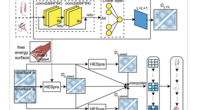 A Study on Protein Conformational Changes Using a Large-Scale Biophysical Sampling Augmented Deep Learning Strategy