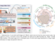 Leopard: A Multimodal Large Language Model (MLLM) Designed Specifically for Handling Vision-Language Tasks Involving Multiple Text-Rich Images