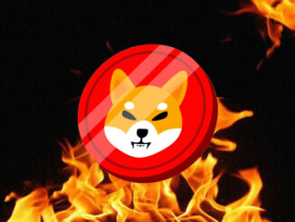 Shiba Inu Burn Closing Out The Week On A Low Note With 95% Crash, Will SHIB Price Follow?