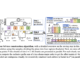 UC Riverside Researchers Propose the Pkd-tree (Parallel kd-tree): A Parallel kd-tree that is Efficient both in Theory and in Practice