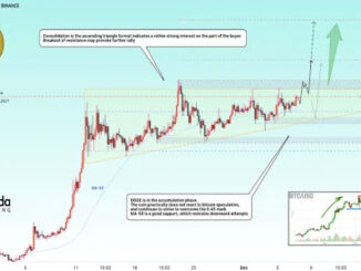 Dogecoin price rally 1