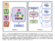 Google AI Releases Population Dynamics Foundation Model (PDFM): A Machine Learning Framework Designed to Power Downstream Geospatial Modeling