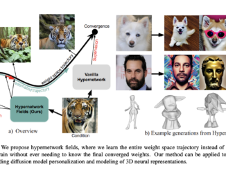 Hypernetwork Fields: Efficient Gradient-Driven Training for Scalable Neural Network Optimization