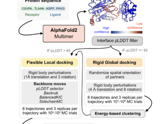 Enhancing Protein Docking with AlphaRED: A Balanced Approach to Protein Complex Prediction