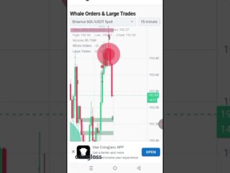 Crypto Market Strategy 2025: Top Trading Tips & Investment Guide!