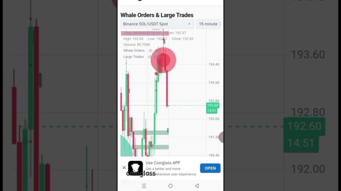 Crypto Market Strategy 2025: Top Trading Tips & Investment Guide!