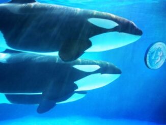 Hyperliquid whale denies cybercrime claims, ZachXBT to release evidence