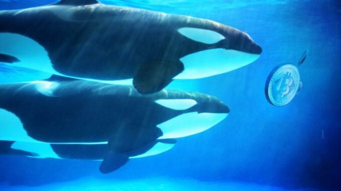 Hyperliquid whale denies cybercrime claims, ZachXBT to release evidence