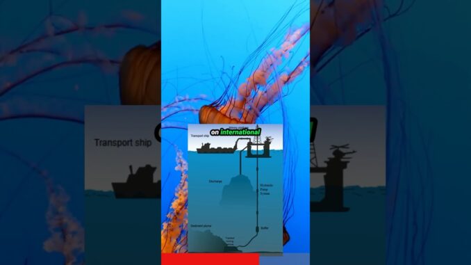 Why Scientists Want to STOP Deep Sea Mining