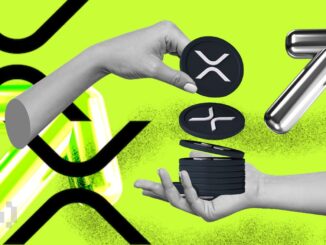 XRP Holder Ratio Drops in H1 2025—but Still Outpaces Solana