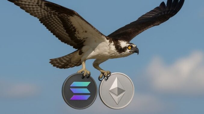 REX-Osprey Ethereum, Solana staked ETFs may launch soon as SEC raises no objections