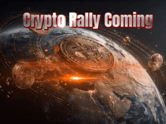 Why Is the Crypto Market Up Today? Here Are 3 Top Cryptos to Buy for the Next Rally