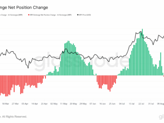 XRP Exchange Position.