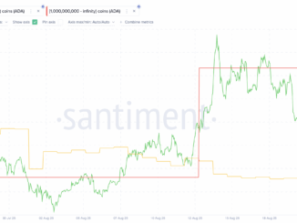 Cardano as one of the Coins Crypto Whales are Buying