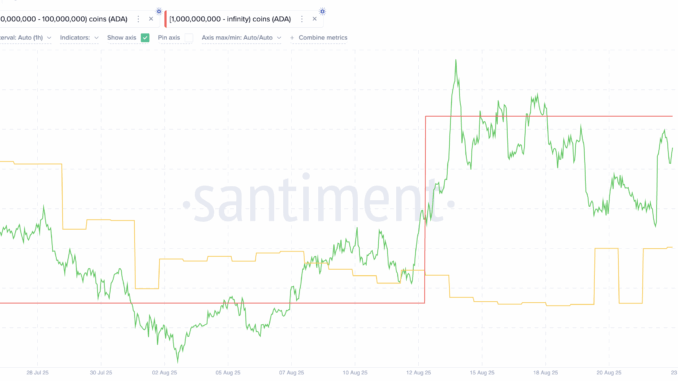 Cardano as one of the Coins Crypto Whales are Buying