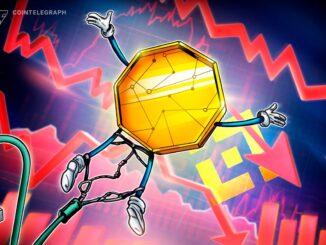 Why Did Some Altcoins on Binance Crash to Zero?