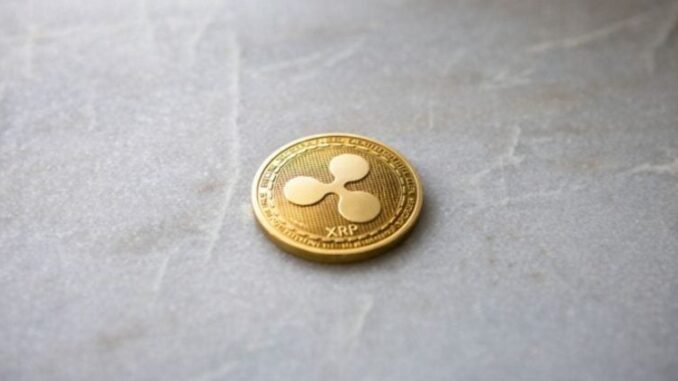 Ripple-backed Evernorth faces $220M drawdown as XRP struggles