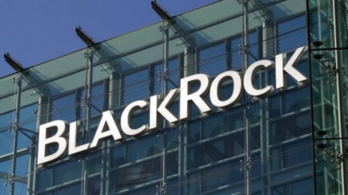 Tokenization may be quietly entering its pre-boom internet phase: BlackRock CEO